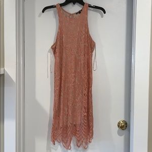 Express Blush Lace Midi Dress